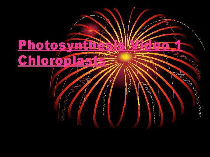 Photosynthesis Video 1 Chloroplasts 