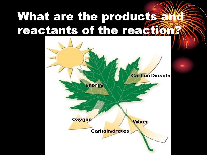 What are the products and reactants of the reaction? 