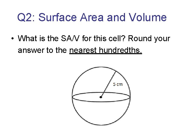 Q 2: Surface Area and Volume • What is the SA/V for this cell?