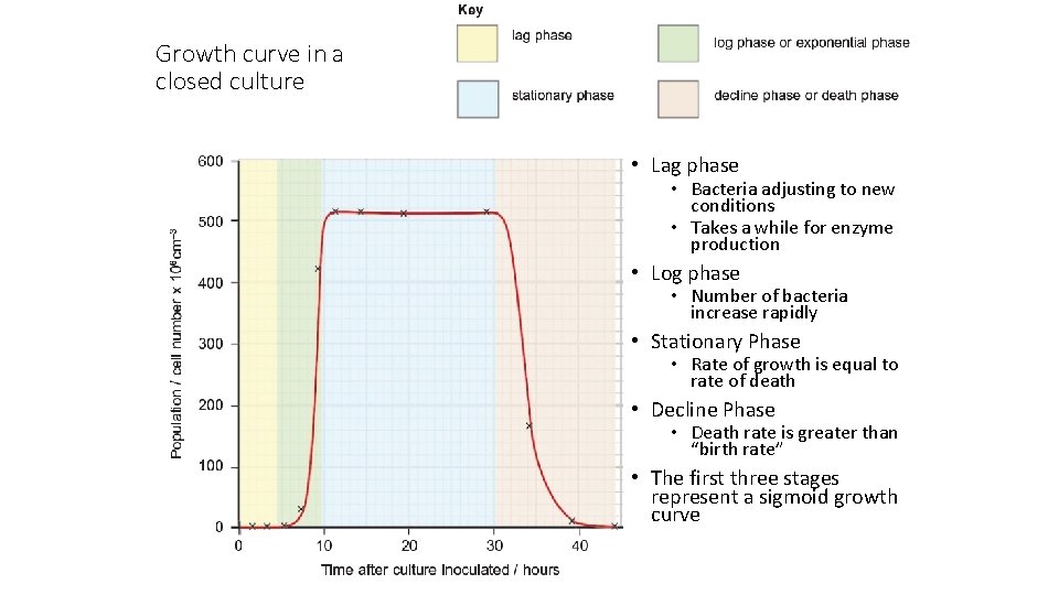 Growth curve in a closed culture • Lag phase • Bacteria adjusting to new