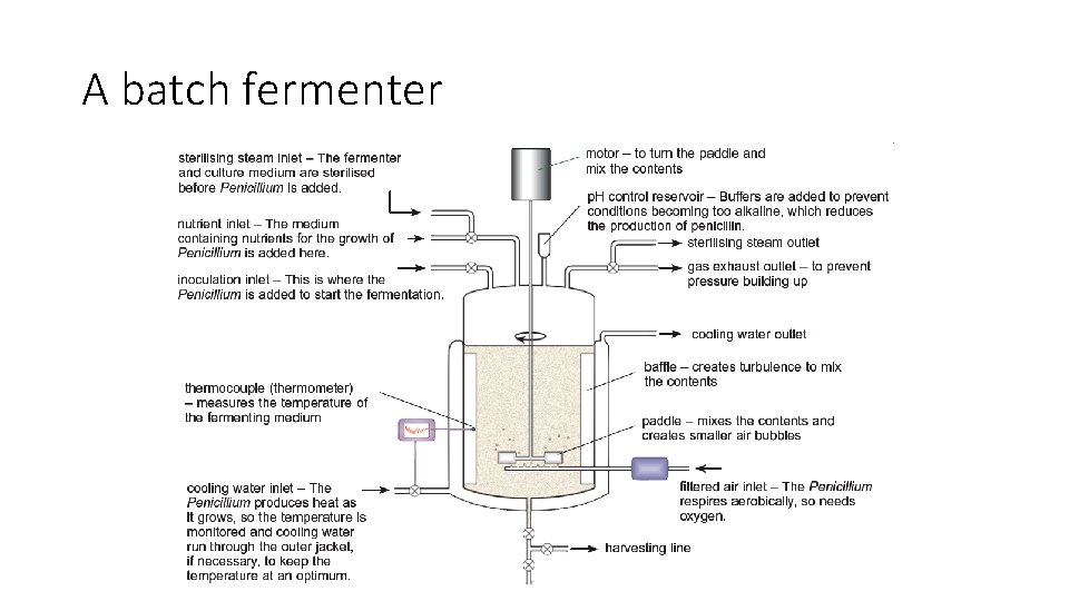 A batch fermenter 