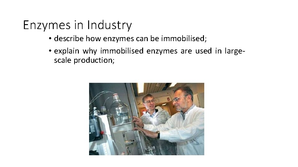 Enzymes in Industry • describe how enzymes can be immobilised; • explain why immobilised