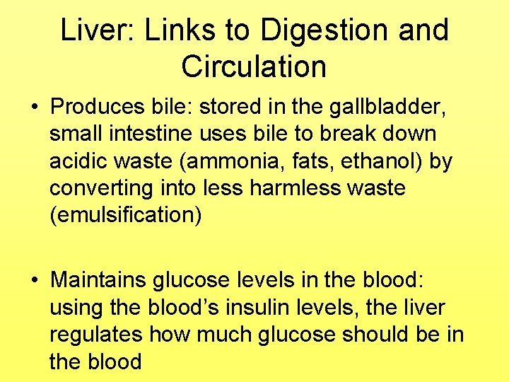 Liver: Links to Digestion and Circulation • Produces bile: stored in the gallbladder, small
