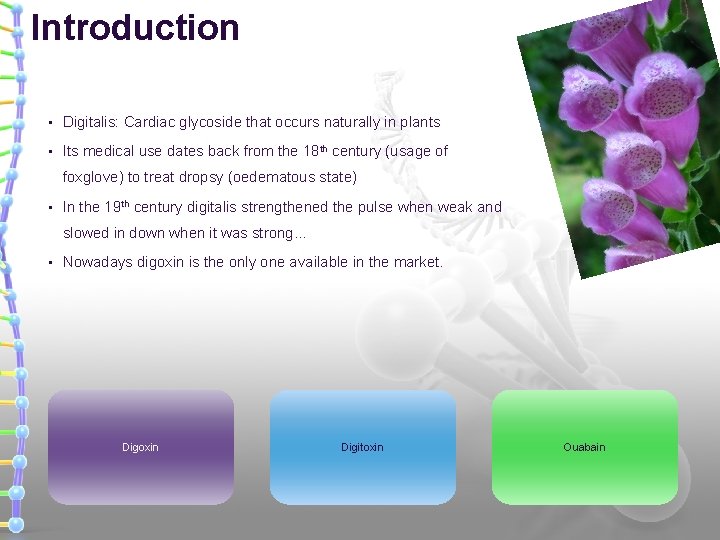 Introduction • Digitalis: Cardiac glycoside that occurs naturally in plants • Its medical use