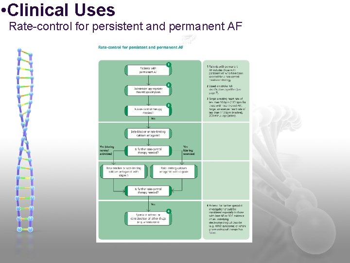  • Clinical Uses Rate-control for persistent and permanent AF 