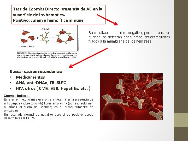 Test de Coombs Directo presencia de AC en la superficie de los hematíes. Positivo: