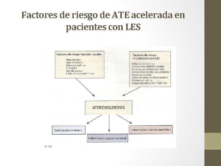 Factores de riesgo de ATE acelerada en pacientes con LES 
