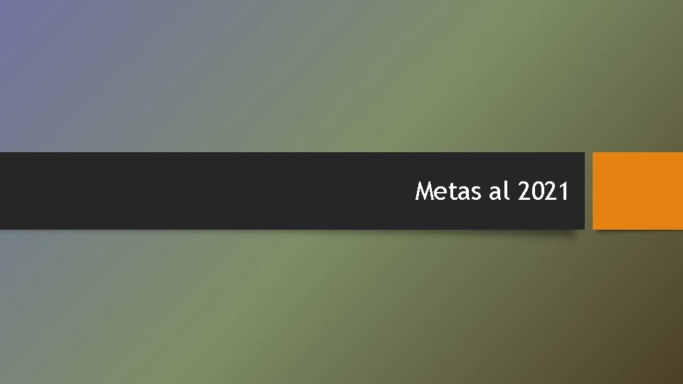 Metas al 2021 