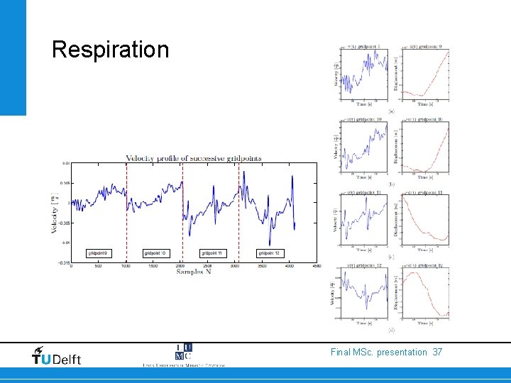 Respiration Final MSc. presentation 37 