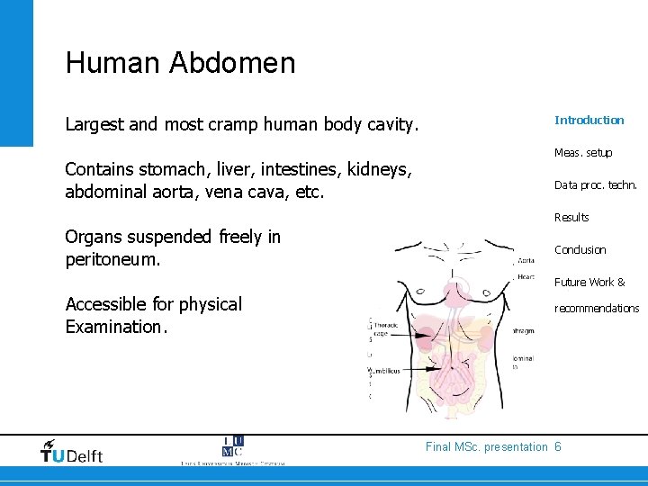 Human Abdomen Largest and most cramp human body cavity. Contains stomach, liver, intestines, kidneys,