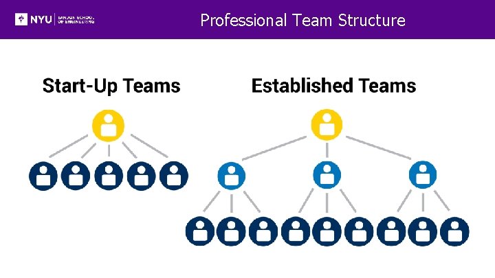 Professional Team Structure 