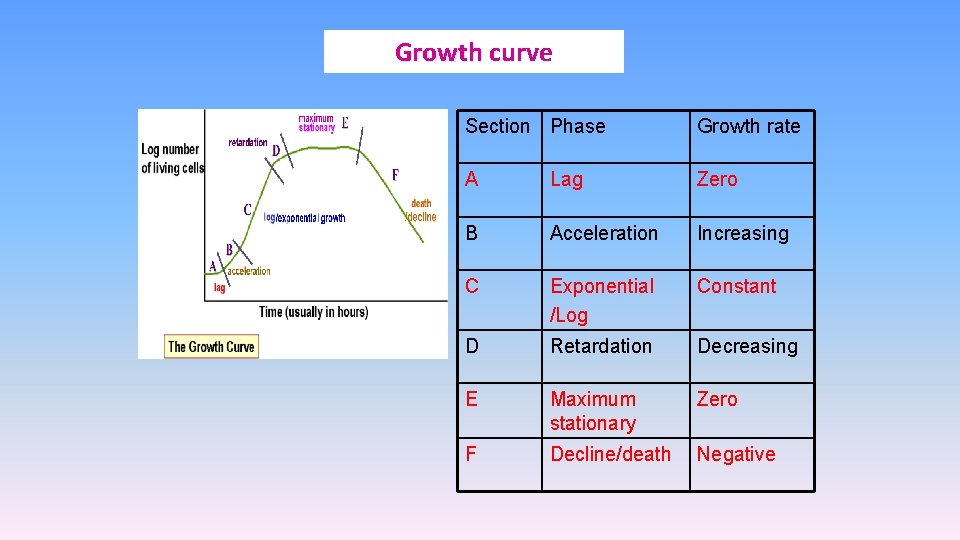 Growth curve Section Phase Growth rate A Lag Zero B Acceleration Increasing C Exponential
