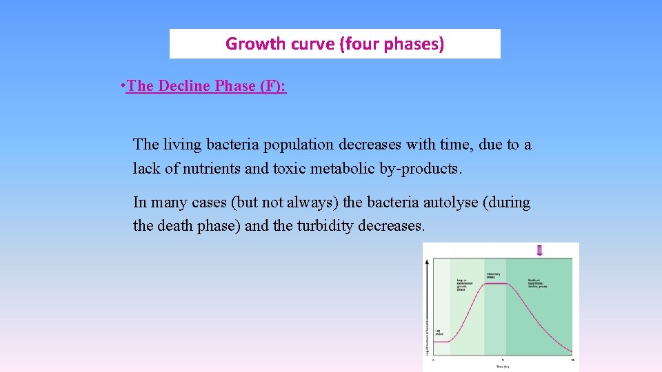 Growth curve (four phases) • The Decline Phase (F): The living bacteria population decreases
