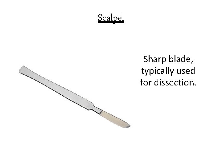 Scalpel Sharp blade, typically used for dissection. 