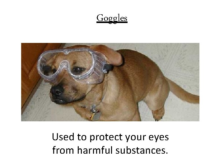 Goggles Used to protect your eyes from harmful substances. 