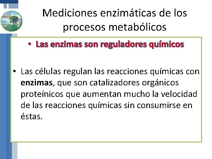 Mediciones enzimáticas de los procesos metabólicos • Las enzimas son reguladores químicos • Las