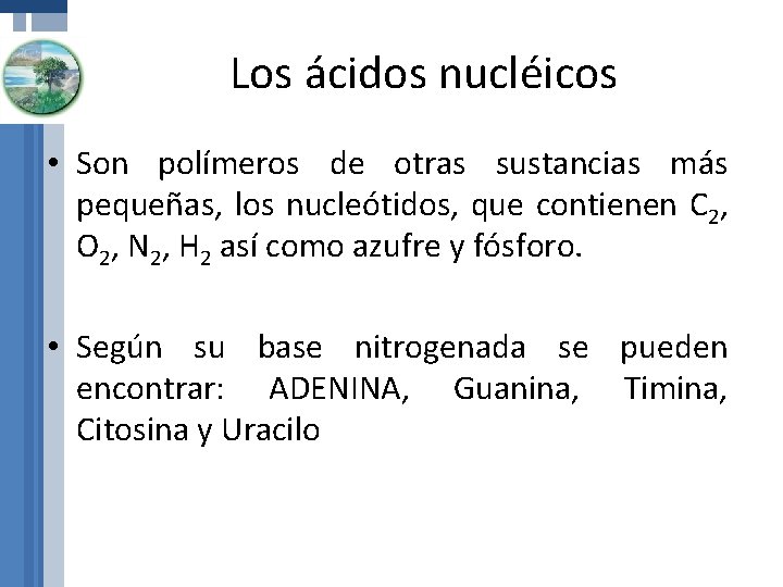 Los ácidos nucléicos • Son polímeros de otras sustancias más pequeñas, los nucleótidos, que