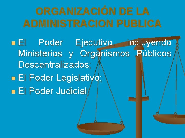 ORGANIZACIÓN DE LA ADMINISTRACION PUBLICA El Poder Ejecutivo, incluyendo Ministerios y Organismos Públicos Descentralizados;