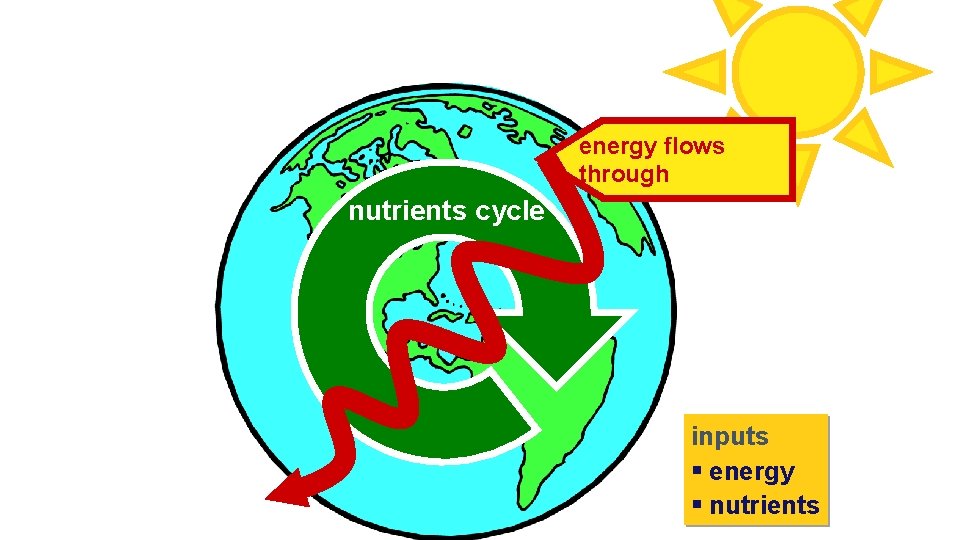energy flows through nutrients cycle biosphere inputs § energy § nutrients 