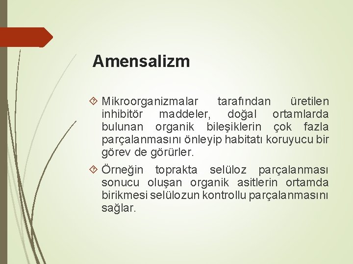 Amensalizm Mikroorganizmalar tarafından üretilen inhibitör maddeler, doğal ortamlarda bulunan organik bileşiklerin çok fazla parçalanmasını