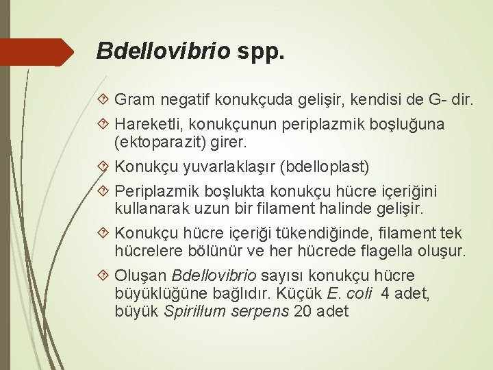 Bdellovibrio spp. Gram negatif konukçuda gelişir, kendisi de G- dir. Hareketli, konukçunun periplazmik boşluğuna