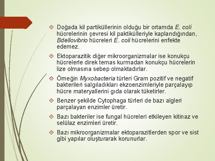  Doğada kil partiküllerinin olduğu bir ortamda E. coli hücrelerinin çevresi kil paktikülleriyle kaplandığından,