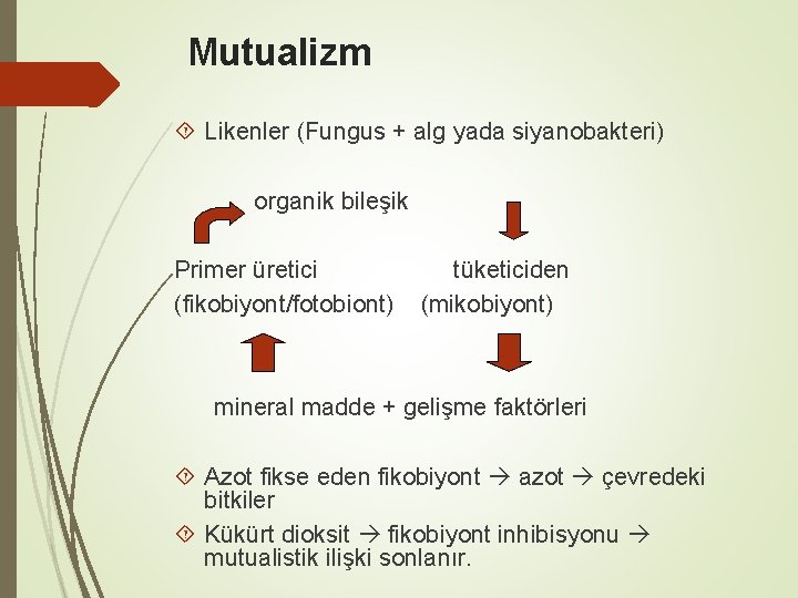 Mutualizm Likenler (Fungus + alg yada siyanobakteri) organik bileşik Primer üretici (fikobiyont/fotobiont) tüketiciden (mikobiyont)