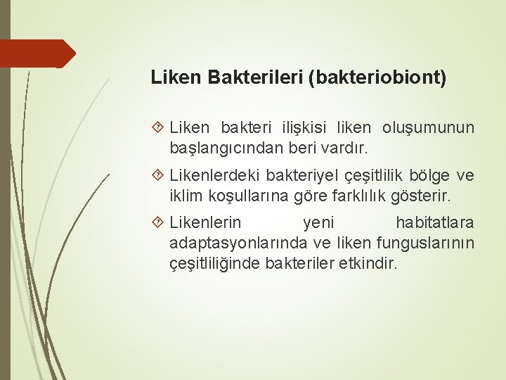 Liken Bakterileri (bakteriobiont) Liken bakteri ilişkisi liken oluşumunun başlangıcından beri vardır. Likenlerdeki bakteriyel çeşitlilik