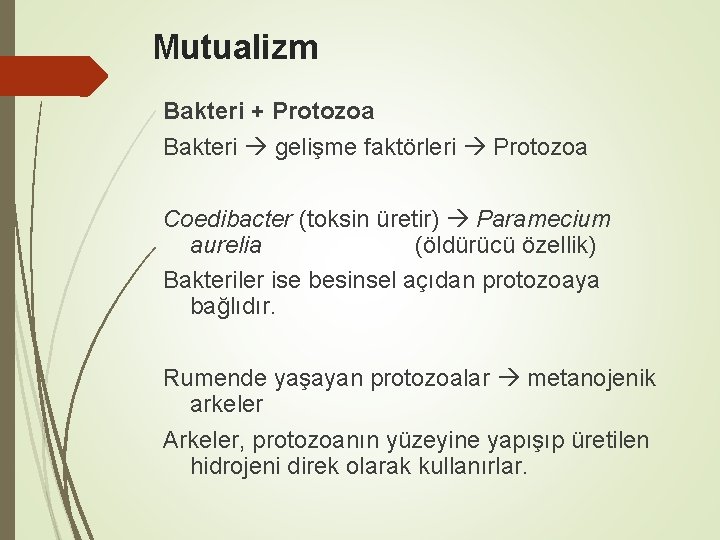 Mutualizm Bakteri + Protozoa Bakteri gelişme faktörleri Protozoa Coedibacter (toksin üretir) Paramecium aurelia (öldürücü