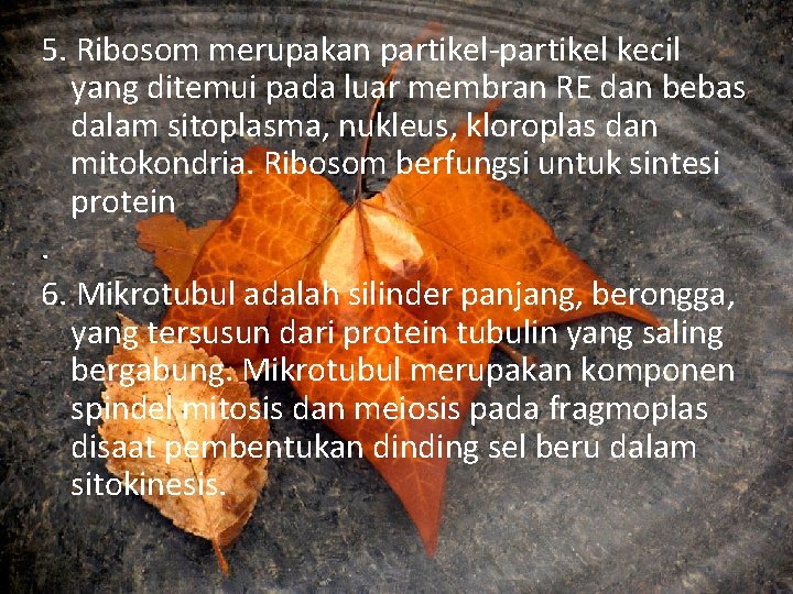 5. Ribosom merupakan partikel-partikel kecil yang ditemui pada luar membran RE dan bebas dalam