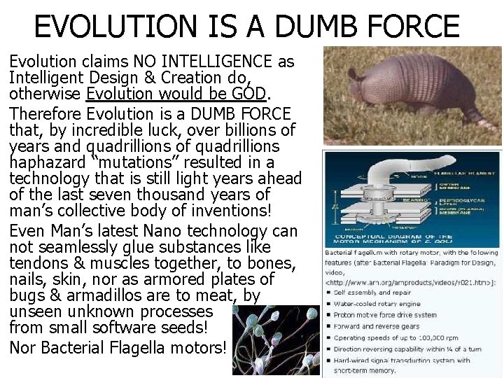 EVOLUTION IS A DUMB FORCE Evolution claims NO INTELLIGENCE as Intelligent Design & Creation