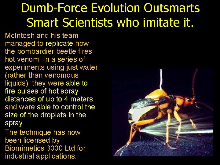 Dumb-Force Evolution Outsmarts Smart Scientists who imitate it. Mc. Intosh and his team managed