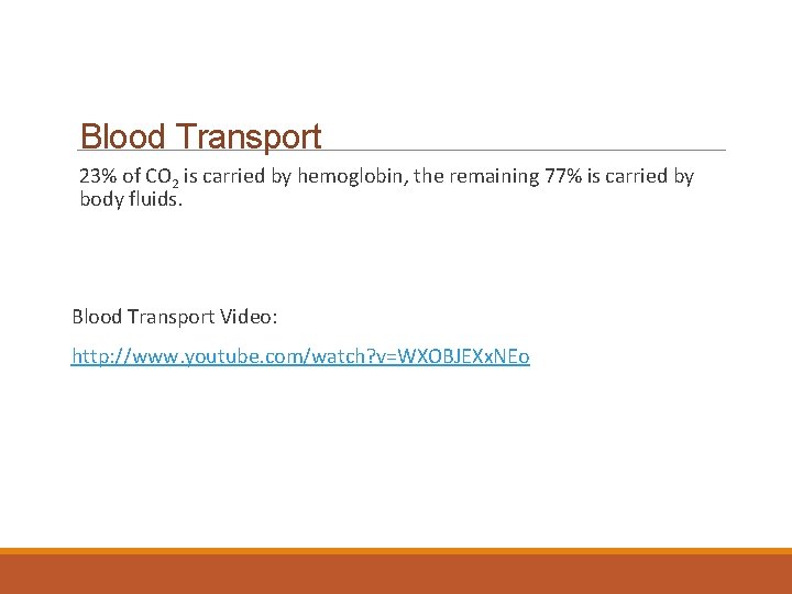 Blood Transport 23% of CO 2 is carried by hemoglobin, the remaining 77% is
