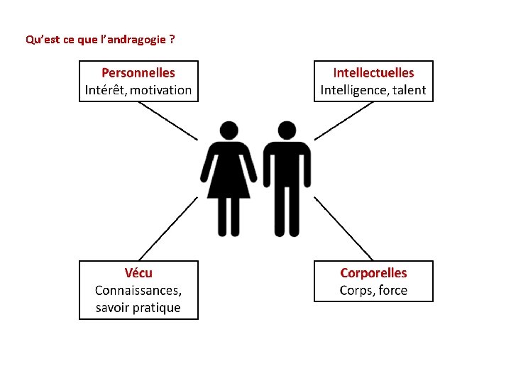 Qu’est ce que l’andragogie ? 