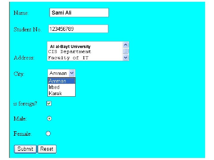 Sami Al al-Bayt University 126 