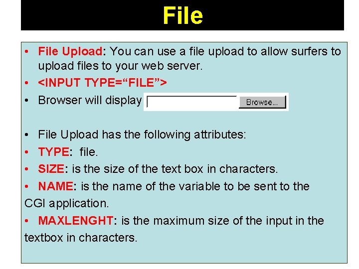 File • File Upload: You can use a file upload to allow surfers to