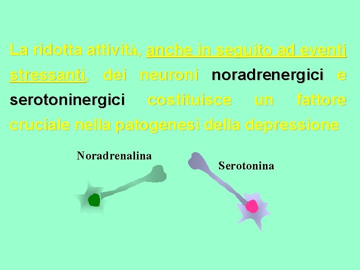 La ridotta attività, anche in seguito ad eventi stressanti, dei neuroni noradrenergici e serotoninergici