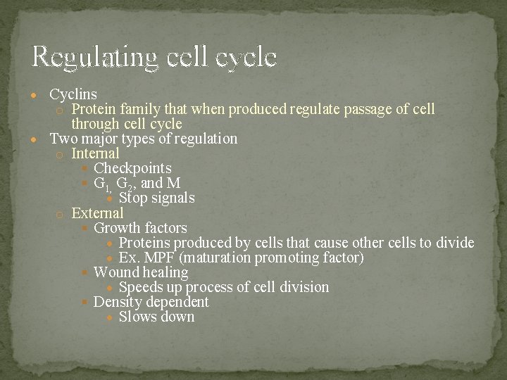 Regulating cell cycle Cyclins o Protein family that when produced regulate passage of cell