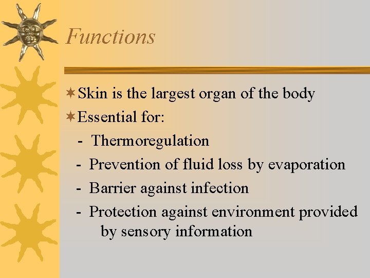 Functions ¬Skin is the largest organ of the body ¬Essential for: - Thermoregulation -