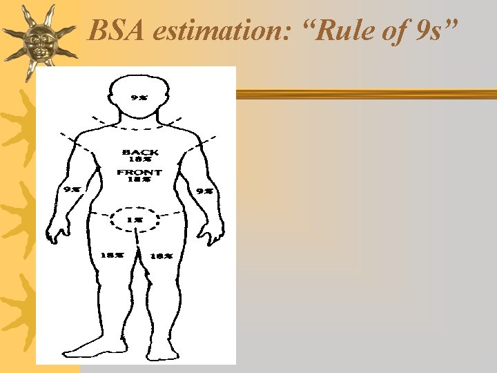BSA estimation: “Rule of 9 s” 