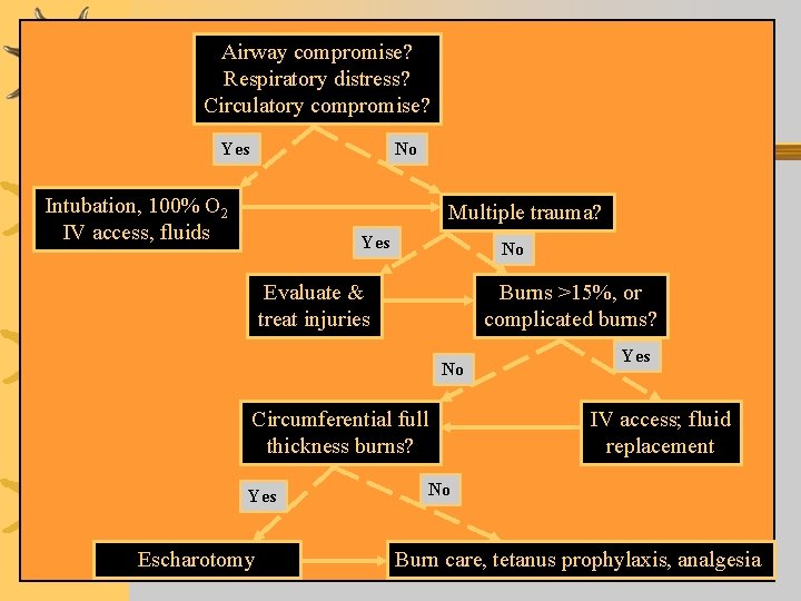 Airway compromise? Respiratory distress? Circulatory compromise? Yes No Intubation, 100% O 2 IV access,