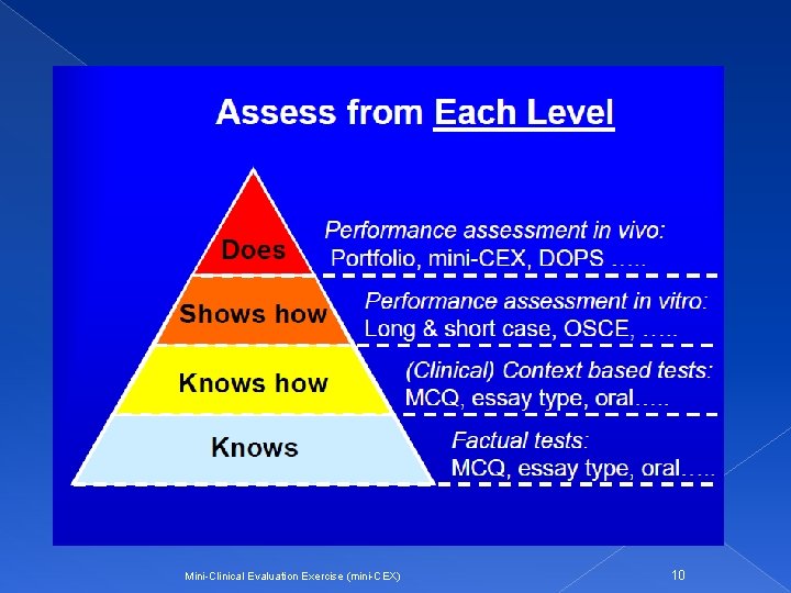 Mini-Clinical Evaluation Exercise (mini-CEX) 10 