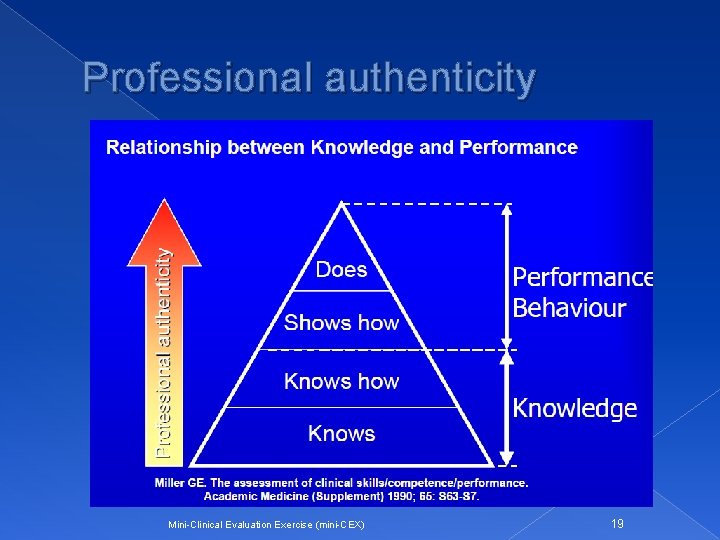 Professional authenticity Mini-Clinical Evaluation Exercise (mini-CEX) 19 
