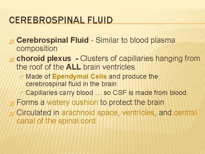 CEREBROSPINAL FLUID Cerebrospinal Fluid - Similar to blood plasma composition choroid plexus - Clusters