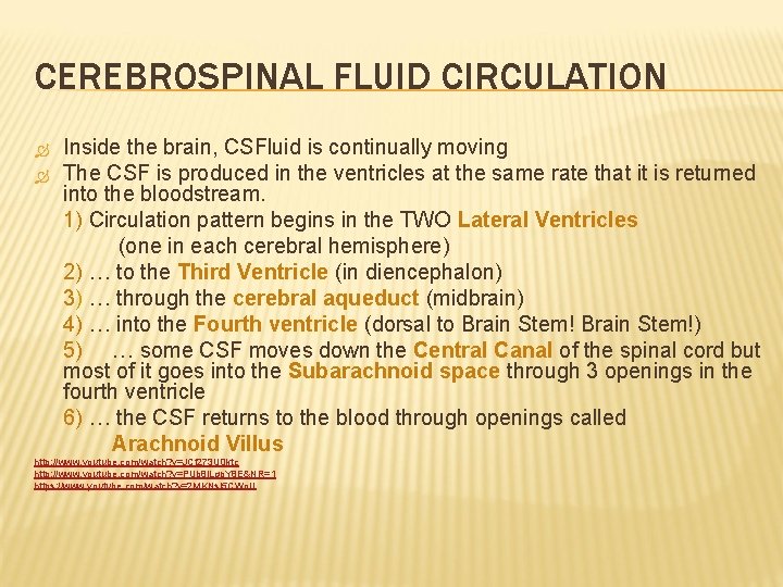 CEREBROSPINAL FLUID CIRCULATION Inside the brain, CSFluid is continually moving The CSF is produced
