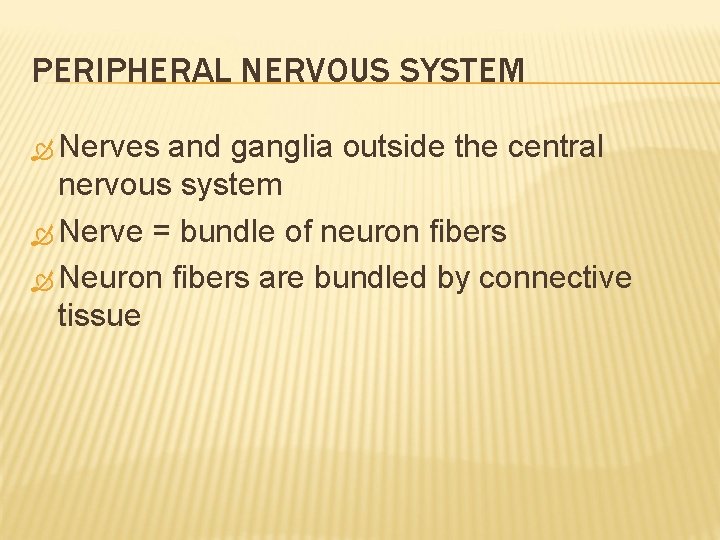 PERIPHERAL NERVOUS SYSTEM Nerves and ganglia outside the central nervous system Nerve = bundle