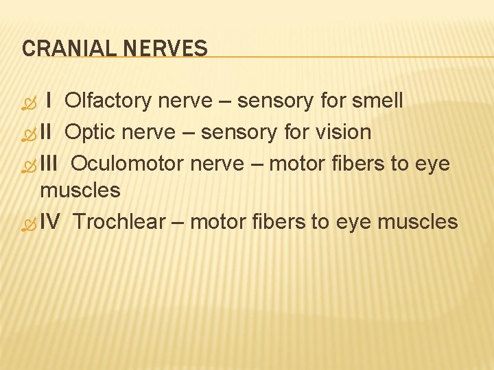 CRANIAL NERVES I Olfactory nerve – sensory for smell II Optic nerve – sensory
