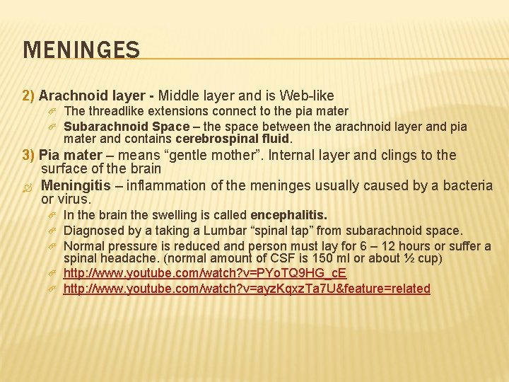 MENINGES 2) Arachnoid layer - Middle layer and is Web-like The threadlike extensions connect