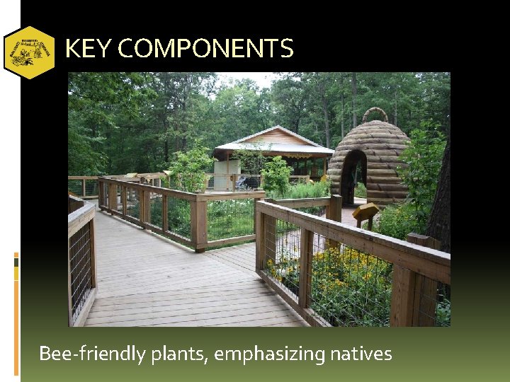 KEY COMPONENTS Bee-friendly plants, emphasizing natives 