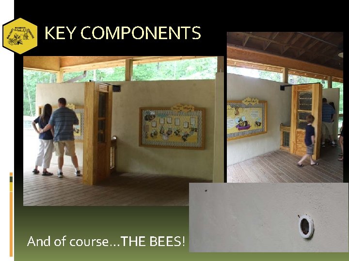 KEY COMPONENTS And of course…THE BEES! 